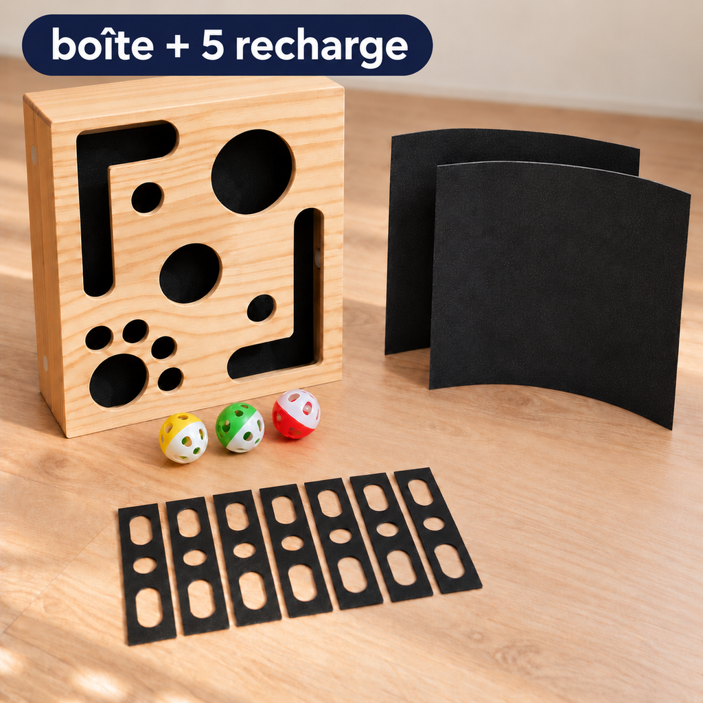 Boîte lime-griffes pour chat | Griffou