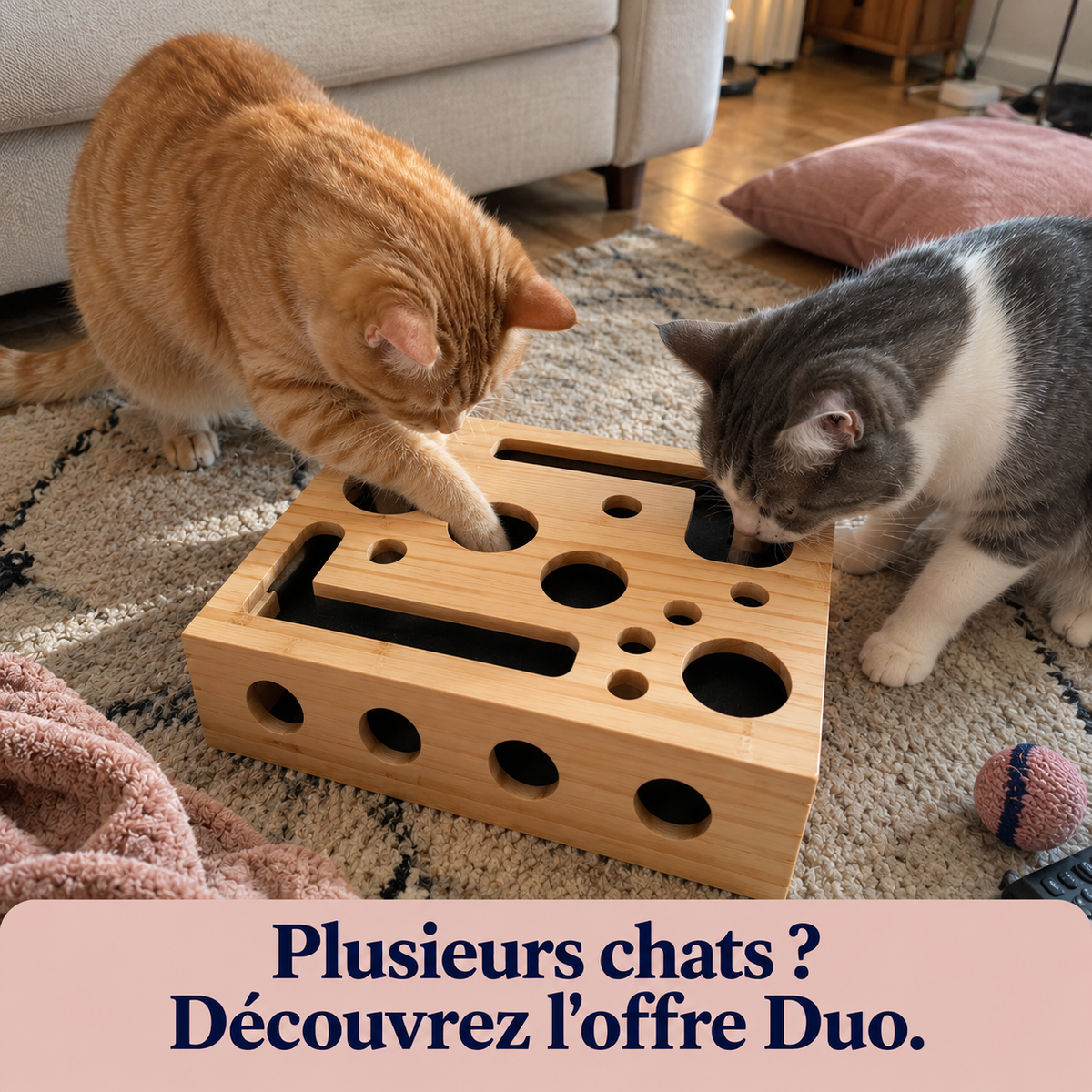 Boîte lime-griffes pour chat | Griffou