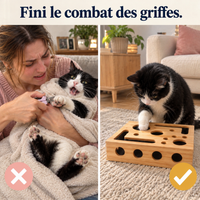 Boîte lime-griffes pour chat | Griffou