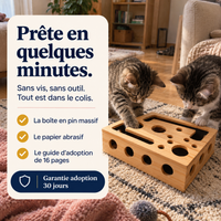 Boîte lime-griffes pour chat | Griffou